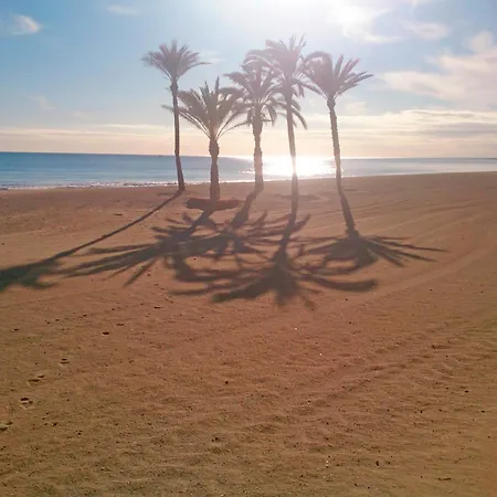 Mercado Puro Centro. 4 Hab. A/c. * Alicante